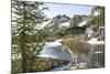 Mountain Goat, at Wing Lake-Matt Freedman-Mounted Photographic Print