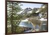 Mountain Goat, at Wing Lake-Matt Freedman-Framed Photographic Print