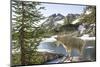 Mountain Goat, at Wing Lake-Matt Freedman-Mounted Photographic Print