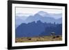 Mountain Goat, Cascade Mountain Range-Ken Archer-Framed Photographic Print