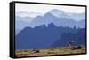 Mountain Goat, Cascade Mountain Range-Ken Archer-Framed Stretched Canvas