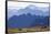 Mountain Goat, Cascade Mountain Range-Ken Archer-Framed Stretched Canvas