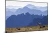 Mountain Goat, Cascade Mountain Range-Ken Archer-Mounted Photographic Print