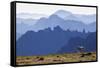 Mountain Goat, Cascade Mountain Range-Ken Archer-Framed Stretched Canvas