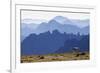 Mountain Goat, Cascade Mountain Range-Ken Archer-Framed Premium Photographic Print