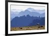 Mountain Goat, Cascade Mountain Range-Ken Archer-Framed Premium Photographic Print