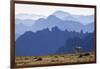 Mountain Goat, Cascade Mountain Range-Ken Archer-Framed Photographic Print
