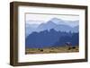 Mountain Goat, Cascade Mountain Range-Ken Archer-Framed Photographic Print