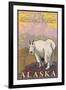 Mountain Goat, Chugach National Forest, Alaska-Lantern Press-Framed Art Print
