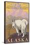 Mountain Goat, Chugach National Forest, Alaska-Lantern Press-Stretched Canvas