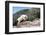 Mountain Goat Climbing Rocks in Glacier National Park, Montana-James White-Framed Photographic Print