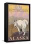 Mountain Goat, Denali National Park, Alaska-Lantern Press-Framed Stretched Canvas