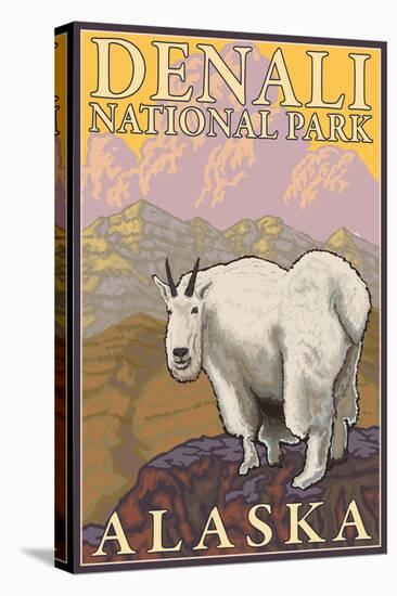 Mountain Goat, Denali National Park, Alaska-Lantern Press-Stretched Canvas