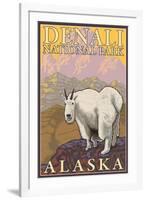 Mountain Goat, Denali National Park, Alaska-Lantern Press-Framed Art Print