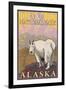 Mountain Goat, Denali National Park, Alaska-Lantern Press-Framed Art Print