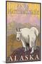 Mountain Goat, Denali National Park, Alaska-Lantern Press-Mounted Art Print