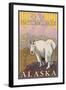 Mountain Goat, Denali National Park, Alaska-Lantern Press-Framed Art Print