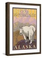 Mountain Goat, Denali National Park, Alaska-Lantern Press-Framed Art Print