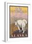 Mountain Goat, Denali National Park, Alaska-Lantern Press-Framed Art Print