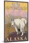 Mountain Goat, Denali National Park, Alaska-Lantern Press-Mounted Art Print