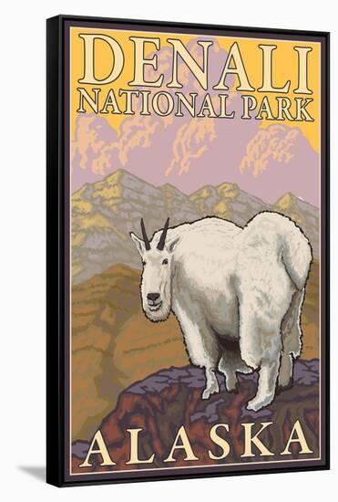 Mountain Goat, Denali National Park, Alaska-Lantern Press-Framed Stretched Canvas