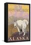 Mountain Goat, Denali National Park, Alaska-Lantern Press-Framed Stretched Canvas