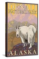 Mountain Goat, Denali National Park, Alaska-Lantern Press-Stretched Canvas