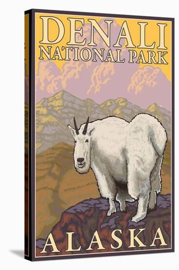 Mountain Goat, Denali National Park, Alaska-Lantern Press-Stretched Canvas