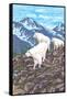 Mountain Goat Family-Lantern Press-Framed Stretched Canvas