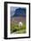 Mountain Goat Feeding , Glacier NP, UNESCO Near Kalispell, Montana-Howie Garber-Framed Photographic Print