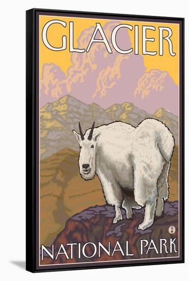 Mountain Goat, Glacier National Park, Montana-Lantern Press-Framed Stretched Canvas