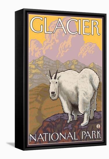 Mountain Goat, Glacier National Park, Montana-Lantern Press-Framed Stretched Canvas