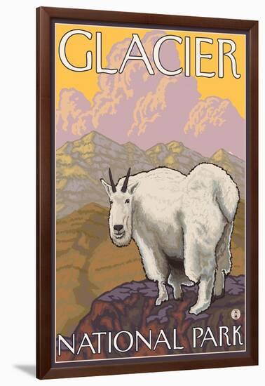 Mountain Goat, Glacier National Park, Montana-Lantern Press-Framed Art Print