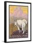 Mountain Goat, Glacier National Park, Montana-Lantern Press-Framed Art Print