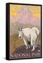 Mountain Goat, Glacier National Park, Montana-Lantern Press-Framed Stretched Canvas