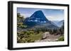 Mountain Goat in front of Bearhat Mountain and Hidden Lake. Glacier National Park, Montana, USA.-Tom Norring-Framed Photographic Print