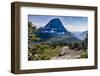 Mountain Goat in front of Bearhat Mountain and Hidden Lake. Glacier National Park, Montana, USA.-Tom Norring-Framed Photographic Print