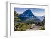 Mountain Goat in front of Bearhat Mountain and Hidden Lake. Glacier National Park, Montana, USA.-Tom Norring-Framed Photographic Print