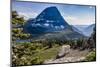 Mountain Goat in front of Bearhat Mountain and Hidden Lake. Glacier National Park, Montana, USA.-Tom Norring-Mounted Photographic Print