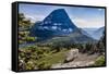 Mountain Goat in front of Bearhat Mountain and Hidden Lake. Glacier National Park, Montana, USA.-Tom Norring-Framed Stretched Canvas