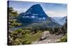 Mountain Goat in front of Bearhat Mountain and Hidden Lake. Glacier National Park, Montana, USA.-Tom Norring-Stretched Canvas