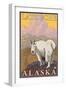 Mountain Goat, Latouche, Alaska-Lantern Press-Framed Art Print