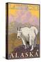 Mountain Goat, Latouche, Alaska-Lantern Press-Stretched Canvas