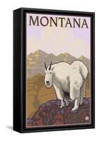 Mountain Goat, Montana-Lantern Press-Framed Stretched Canvas