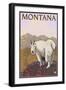 Mountain Goat, Montana-Lantern Press-Framed Art Print