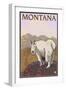 Mountain Goat, Montana-Lantern Press-Framed Art Print