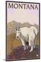 Mountain Goat, Montana-Lantern Press-Mounted Art Print
