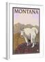 Mountain Goat, Montana-Lantern Press-Framed Art Print