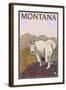 Mountain Goat, Montana-Lantern Press-Framed Art Print