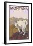 Mountain Goat, Montana-Lantern Press-Framed Art Print